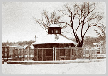 The University Main Building